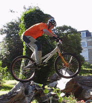 balance in biketrials
