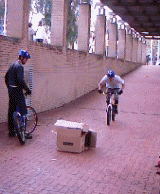 moutain bike trials riding video