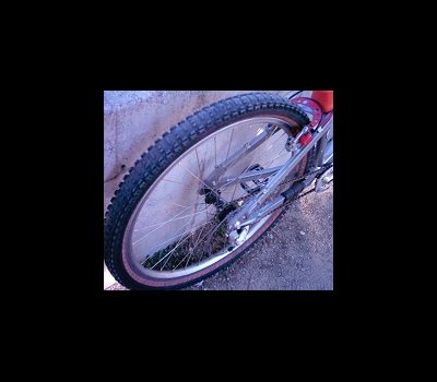 Toxsin Bike